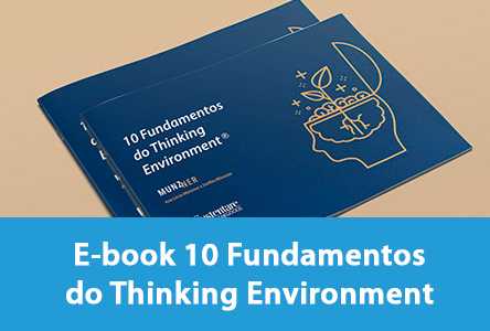E-book – 10 Fundamentos do Thinking Environment