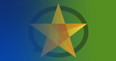 Feedback/Feedforward e Comunicação Eficaz