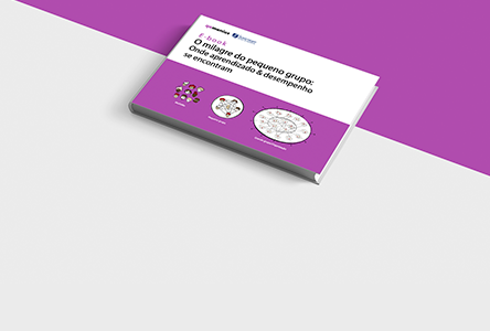 E-book: O milagre do pequeno grupo: onde aprendizado & desempenho se encontram